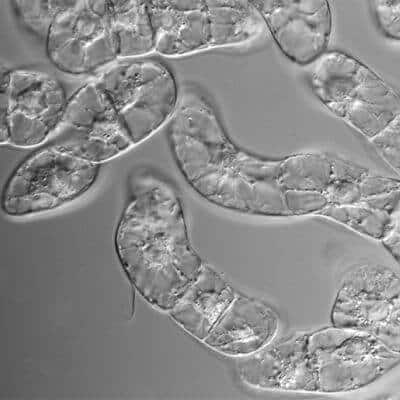 感染症 同定 システム キアゲン 敗血症 三井化学 富山大学 ネイチャー nature 北見情報技術 システムハウス システム開発 ソフト開発 アプリ開発 マイクロソフト クラウド サービス プロバイダー CSP ホームページ 制作 作成 HP SEO Yahoo 広告 正規代理店 全国対応 Google Twitter Facebook Instagram IT ベンダー IT導入補助金 IT導入支援事業者 IT顧問 北見 北海道 オホーツク 端野町 留辺蘂町 常呂町 日本 全国 海外 RPA ロボテックス 自動化 azure office365 onedrive